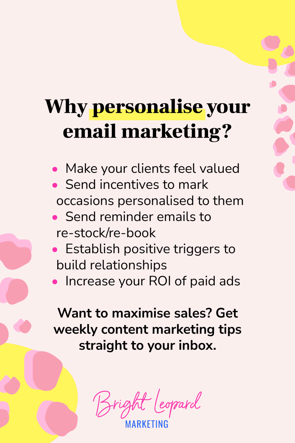 Email Marketing Basics for Any Business | Bright Leopard Marketing